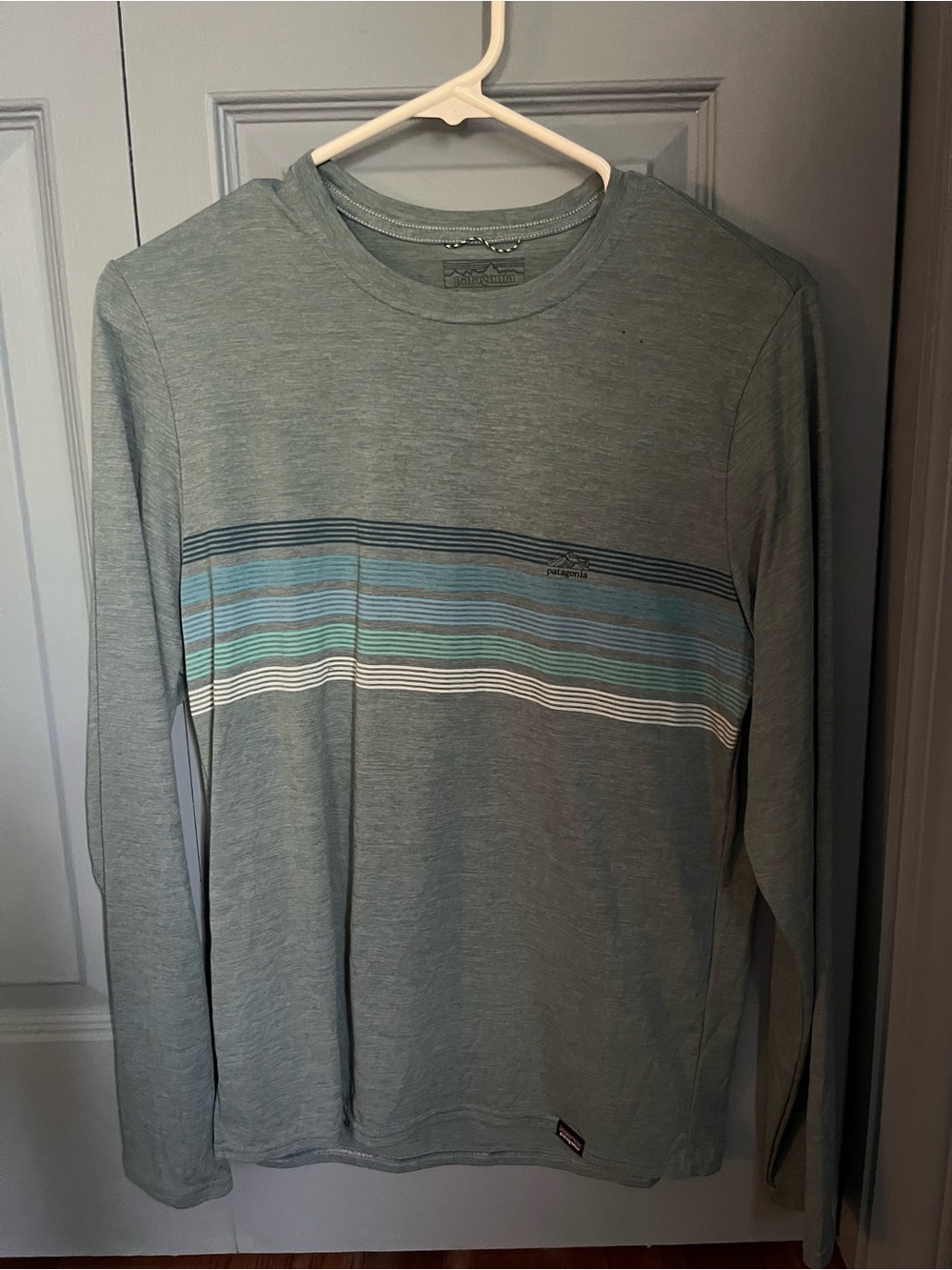 Patagonia Long-Sleeve Crewneck Tee in Sage with Blue and White Stripes